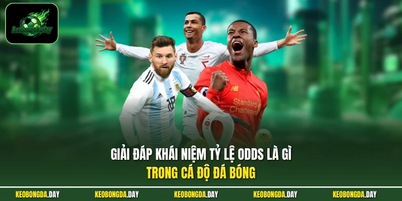 Giải đáp khái niệm tỷ lệ Odds là gì trong cá độ đá bóng 